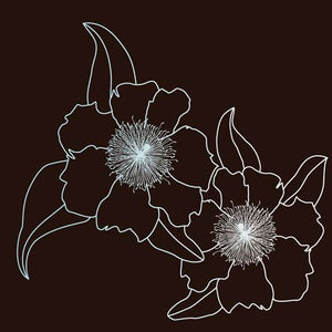 Bacaro Mocca Style Placemat Set of 2 45/30cm