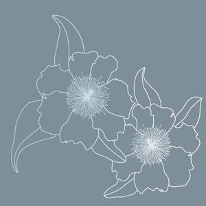 Pearl Grey Bacaro Style Placemat Set of 2 30/45cm